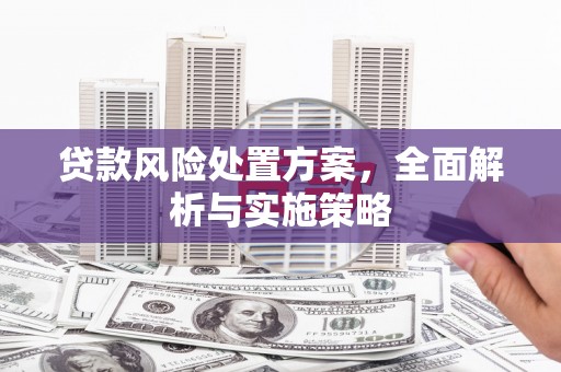 含山贷款风险处置方案，全面解析与实施策略