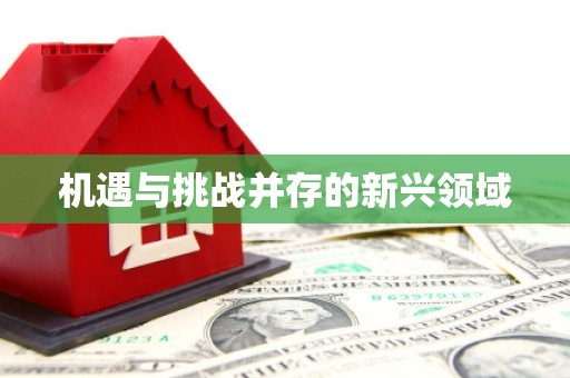 含山机遇与挑战并存的新兴领域