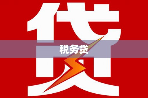 含山税务贷