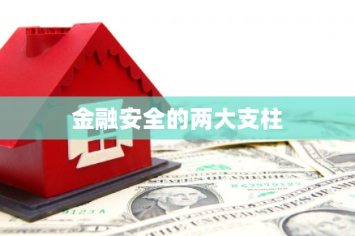 含山金融安全的两大支柱