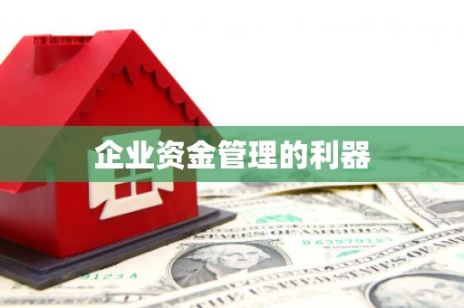 含山企业资金管理的利器