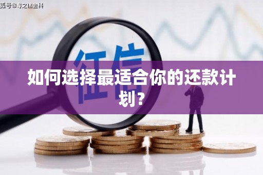 含山如何选择最适合你的还款计划？