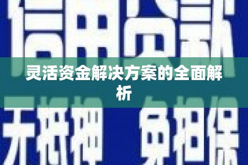含山灵活资金解决方案的全面解析