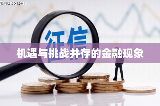 含山机遇与挑战并存的金融现象