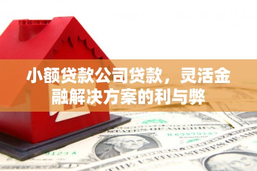 含山小额贷款公司贷款，灵活金融解决方案的利与弊