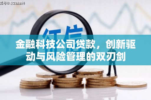 含山金融科技公司贷款，创新驱动与风险管理的双刃剑