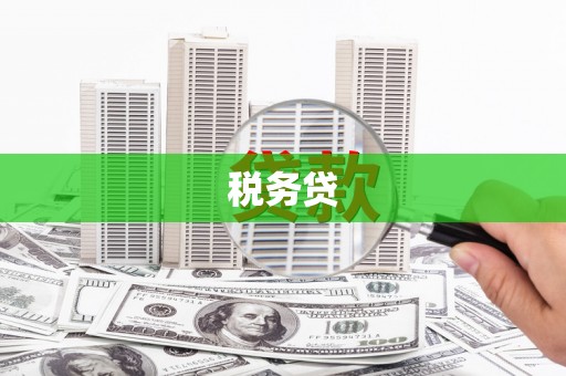 含山税务贷
